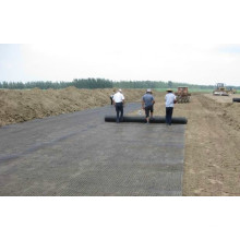 PP Biaxial Geogrids pour Buidling High Way